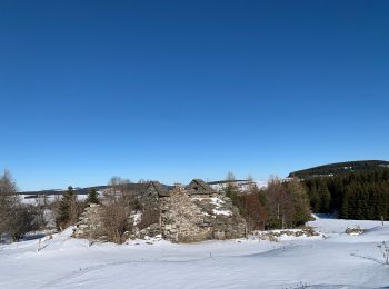 Trail Touring skiing Saint-Front - 2022 01 RANDONNÉE EN MÉZENC : descente vers Estaples puis La Croix Pecata, roche pointu, les dents du diable, traversée du Lignon. - Photo