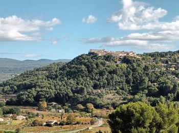 Tocht Stappen La Cadière-d'Azur - La Cadière d'Azur-05-11-21 - Photo