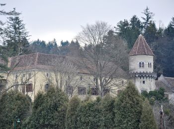 Excursión A pie Leutschach an der Weinstraße - Mini-Golftour - Photo