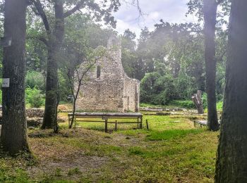 Randonnée Marche Le Vaudoué - Boucle autour de Le Vaudoue - Photo