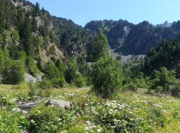 Trail Walking Saint-Martin-d'Uriage - cascade de l'oursiere 2019 - Photo