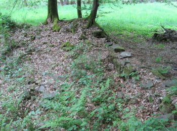 Percorso A piedi Neunkirchen-Seelscheid - Rundweg A5 (Seelscheid) - Photo