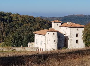 Tocht Te voet Marat - Saint-James - Photo