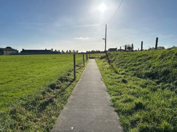 Randonnée Marche Lierde - Sint-Maria-Lierde 22,1 km - Photo