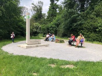 Tour Zu Fuß Unbekannt - Rundwanderweg Schellenberger Wald - Photo