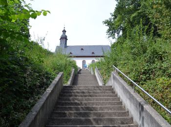 Excursión A pie Hofheim am Taunus - Historischer Rundweg - Photo