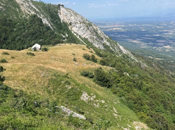 Tour Wandern Farges - Génial - Photo