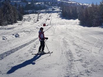 Tocht Ski randonnée Le Dévoluy - La Platte du Pin depart Joue du Loup  450 + - Photo
