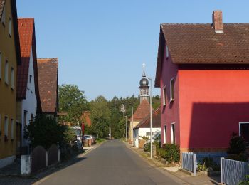 Excursión A pie Eggolsheim - Rundweg Waldlehrpfad Serlbach - Photo
