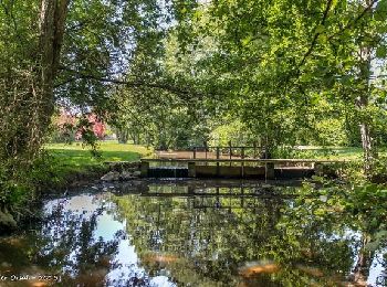 Tocht Stappen Longny les Villages - [Itinéraire] La Mariette - Photo