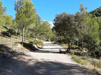 Tocht Stappen Beaurecueil - Cezanne - Photo