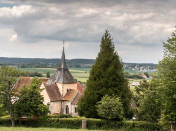 Tour Wandern La Chapelle-Montligeon - La Chapelle-Montligeon - Tourouvre 19 km - Photo