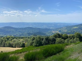 Tour Wandern Saint-Anthème - Hautes chaumes jacquerie le coq noir  - Photo