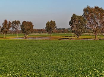 Excursión A pie מועצה אזורית גן רווה - IL-10340 - Photo