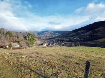 Tour Wandern Mitzach - Mitzbach (30 déc. 2021) - Photo