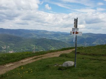 Tour Wandern Sondernach - mp sondernach 2019 - Photo