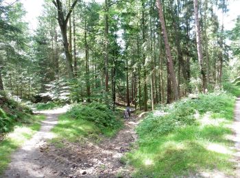 Trail On foot Rosengarten - Wanderweg KA-KI - Photo