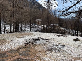 Percorso Racchette da neve San Dalmazzo Selvatico - Pointe de Colombart - Photo