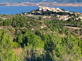 Tour Wandern Bages - bages source pesquis - Photo