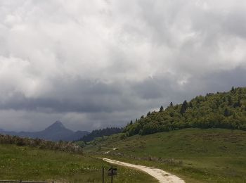 Tour Wandern Prades - Comus Refuge de La Chioula GR 107 chemin des Bonshommes - Photo