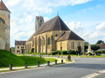 Trail Walking Blandy - Boucle 21 km Blandy - Bombom - St Mery - Champeaux - Photo