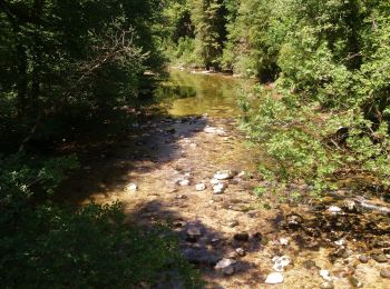 Tour Wandern Saint-Claude - cascade de la vouivre  - Photo