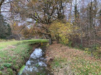 Trail Walking Holsbeek - Holsbeek 15 km - Photo