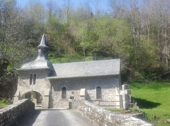 Tour Wandern Corrèze - Chemin du Paradis - Photo