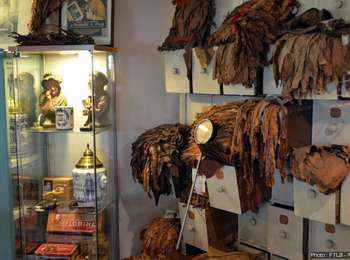 Excursión A pie Arlon - SityTrail - Arlon_Sedan_final0925 - Photo