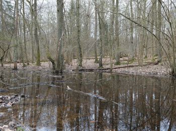 Randonnée A pied Ober-Mörlen - Wanderwege Winterstein - Keiler - Photo