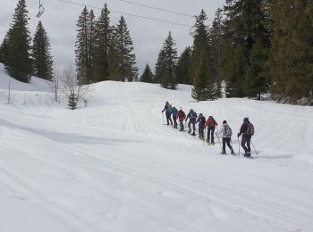 Percorso Racchette da neve Divonne-les-Bains - La Dole alt 1676m en raquette - Photo