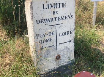 Tocht Wegfiets Saint-Anthème - Ça pique  - Photo