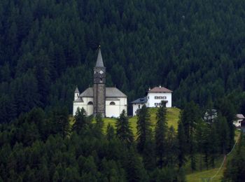 Tour Zu Fuß Livinallongo del Col di Lana - IT-21 - Photo