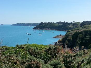 Tocht Stappen Cancale - Cancale Port Mer - 15.3km 290m 5h05 - 2017 06 19 - Photo