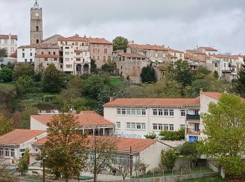 Excursión Senderismo Saint-Laurent-de-Cerdans - mont capell - Photo