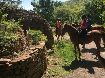 Trail Horseback riding Couzon-au-Mont-d'Or - Tour4 - Photo