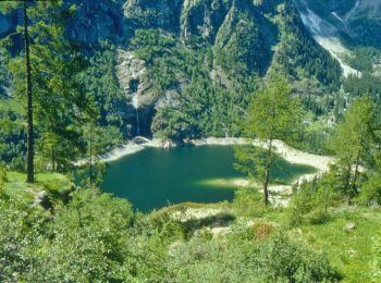 Randonnée A pied Antrona Schieranco - C34 - Lago di Campliccioli - Lago di Camposecco - Photo