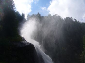 Randonnée A pied Pelugo - Sentiero della Val di Lares - Photo