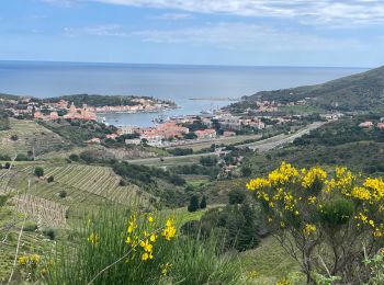 Tour Wandern Port-Vendres - Port-Vendres - Photo