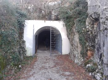 Trail On foot Savogna d'Isonzo / Sovodnje ob Soči - Sentiero CAI n. 74 - Photo