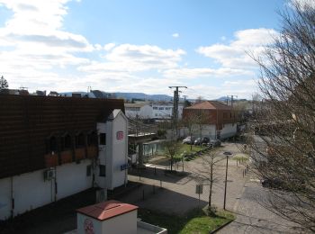 Tour Zu Fuß Fuldatal - Grubenbachweg - Photo