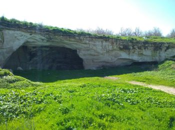 Tocht Te voet מועצה אזורית יואב - IL-Regional Trail - Photo