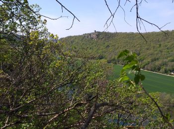 Trail Walking Busy - Busy Vierge du mont - Photo