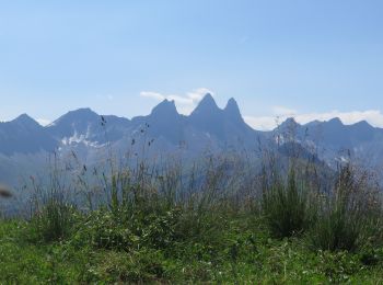 Tocht Stappen Villarembert - Mont Charvin en boucle - Photo