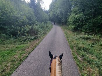 Trail Horseback riding Turquestein-Blancrupt - randonnée turquestein direction Celles-sur-Plaine  - Photo