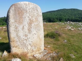 Tour Wandern Nages - lac du Laouzas - ferme de Payrac - Photo