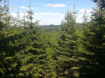 Tour Wandern Walscheid - circulaire croix de haspach - Photo