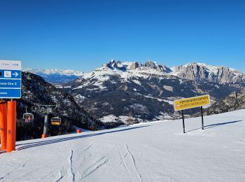 Percorso Sci alpino Moena - Alpe Lusia Sci 270124 - Photo