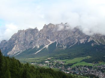 Trail On foot Cortina d'Ampezzo - IT-431 - Photo