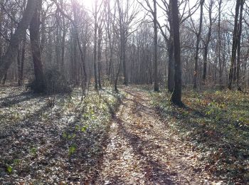 Trail Walking Prugny - Prugny 19km le 20.02.2023 - Photo